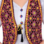 Shivam Fashion Cotton Rajasthani Embroidered Jacket for Women with Mirror Work Traditional Ethnic Shrug Jacket for kurti Navratri Gujrati Kutchi Koti